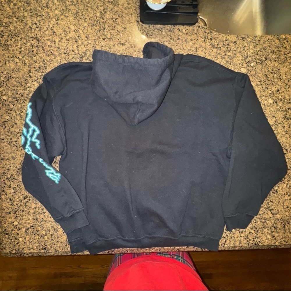 Death Row Records Men's 1991 Electric Graphic Logo Hoodie Sweatshirt Size L - Picture 8 of 11